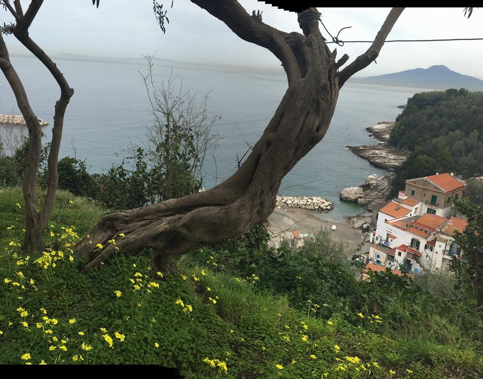 Villa Rosmary Sorrento Exteriör bild