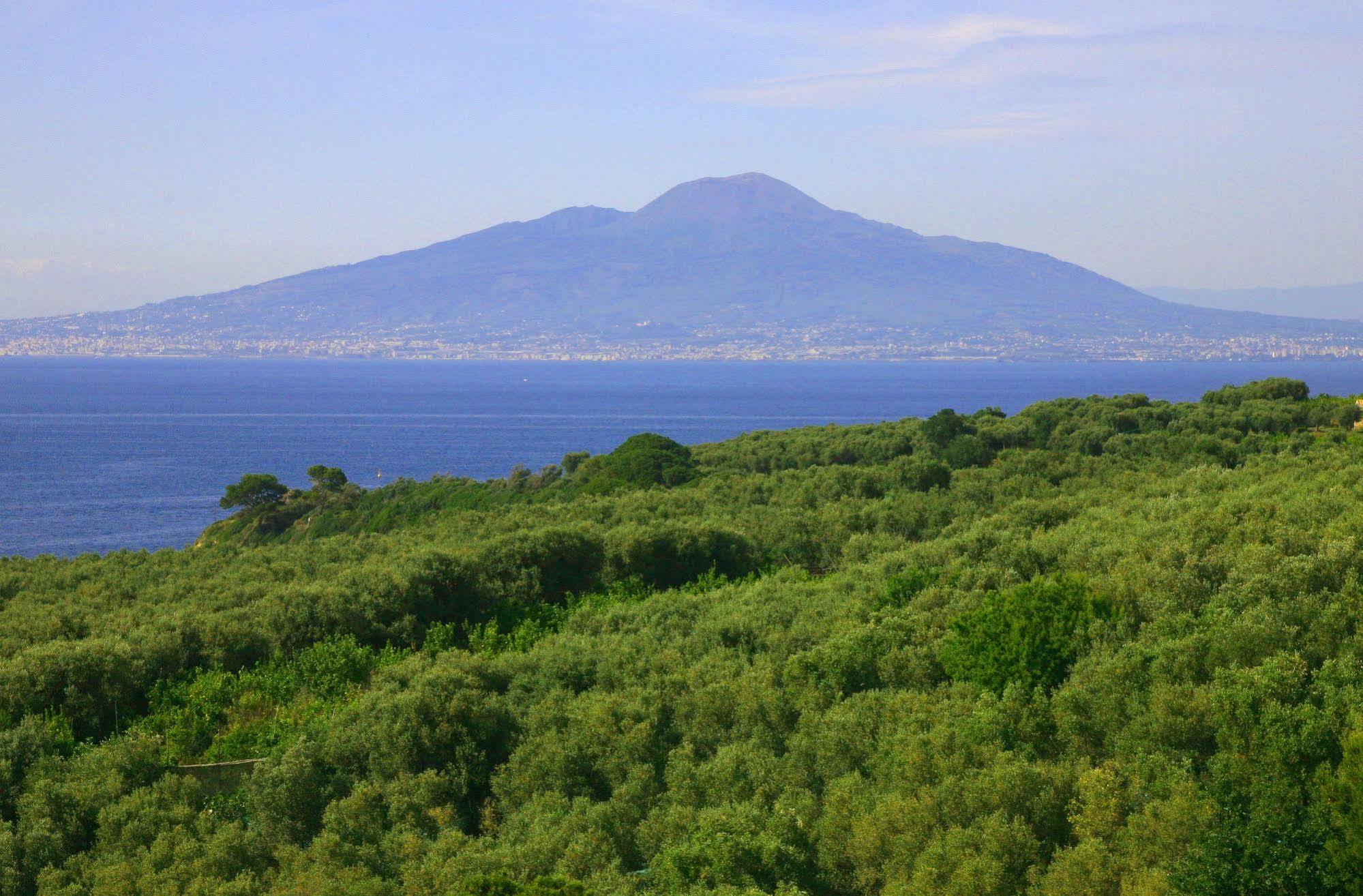 Villa Rosmary Sorrento Exteriör bild