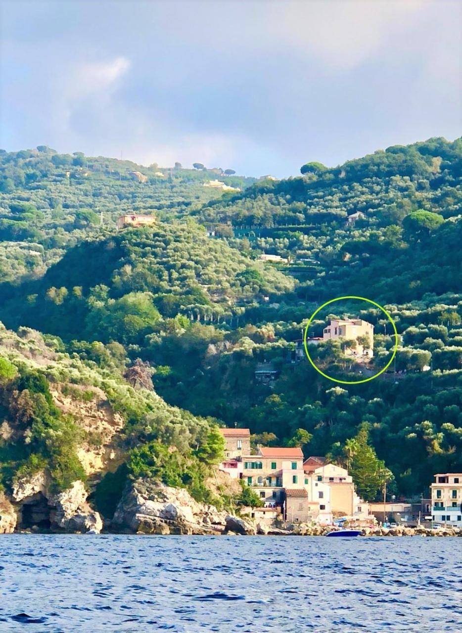 Villa Rosmary Sorrento Exteriör bild
