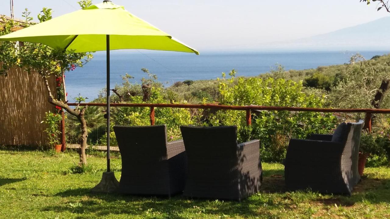 Villa Rosmary Sorrento Exteriör bild